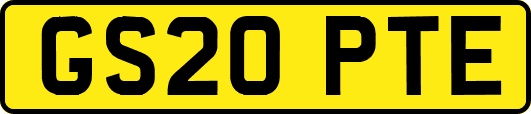 GS20PTE