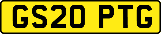 GS20PTG