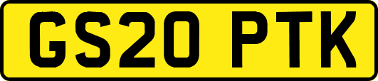 GS20PTK