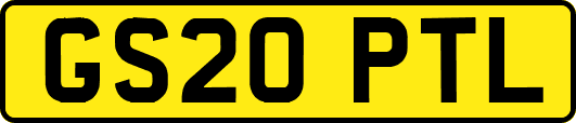 GS20PTL