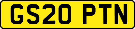 GS20PTN