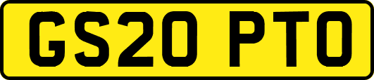GS20PTO