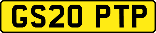 GS20PTP