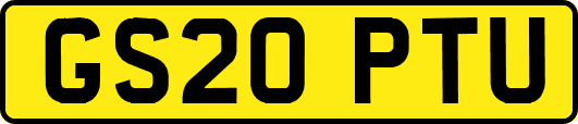 GS20PTU