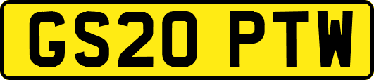 GS20PTW