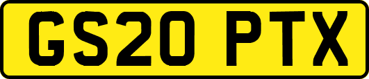 GS20PTX