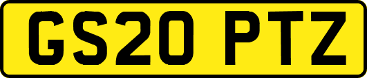 GS20PTZ