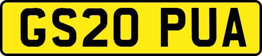 GS20PUA