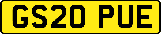 GS20PUE