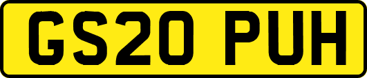GS20PUH