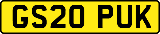 GS20PUK