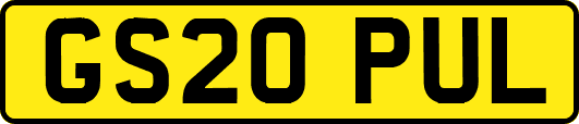 GS20PUL