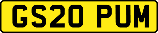 GS20PUM