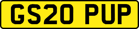 GS20PUP