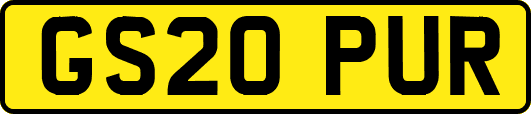 GS20PUR