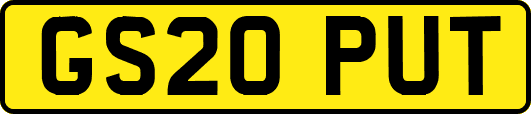 GS20PUT