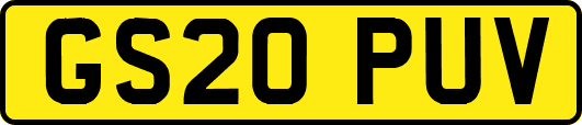 GS20PUV