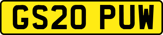 GS20PUW