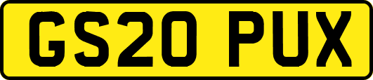 GS20PUX
