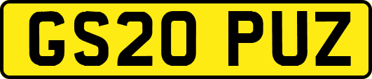 GS20PUZ
