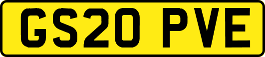 GS20PVE