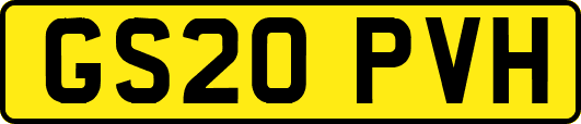 GS20PVH