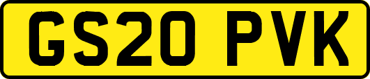 GS20PVK