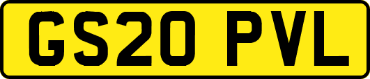 GS20PVL