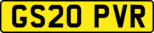 GS20PVR
