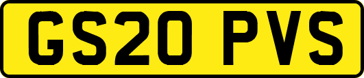 GS20PVS