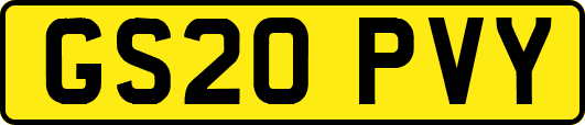 GS20PVY