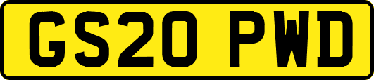 GS20PWD