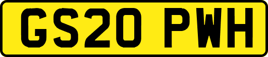 GS20PWH