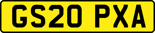 GS20PXA