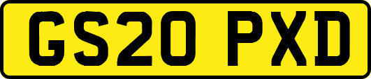 GS20PXD