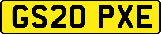 GS20PXE