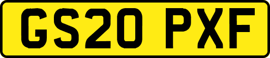 GS20PXF