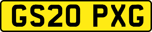 GS20PXG