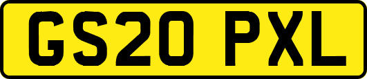 GS20PXL