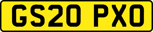 GS20PXO