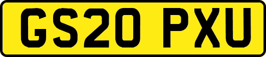 GS20PXU