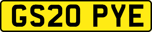 GS20PYE