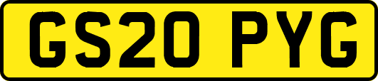 GS20PYG