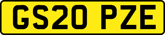 GS20PZE