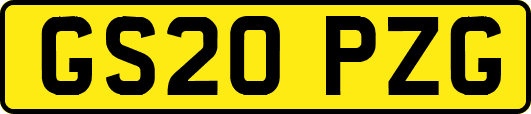 GS20PZG