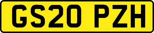 GS20PZH
