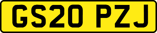 GS20PZJ