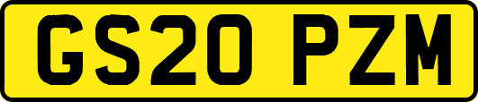GS20PZM