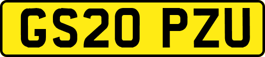 GS20PZU
