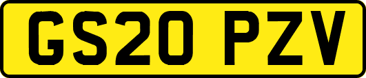 GS20PZV